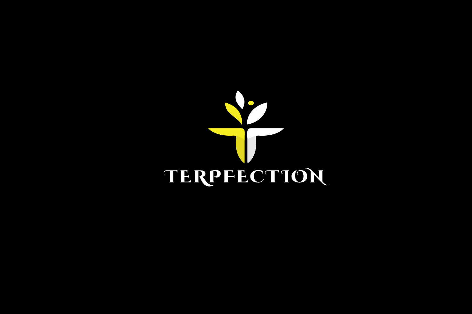 Diseño de Logo por solidinto para este proyecto | Diseño #18836866