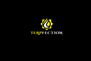 Logo Design by solidinto for this project | Design: #18837046