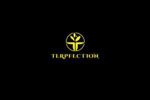 Logo Design by solidinto for this project | Design: #18837049