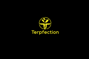 Logo-Design von solidinto für dieses Projekt | Design #18837119
