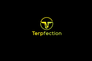 Logo Design by solidinto for this project | Design: #18837187