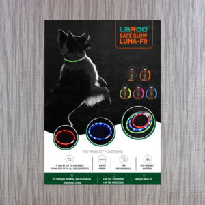 Flyer Design by saro3005