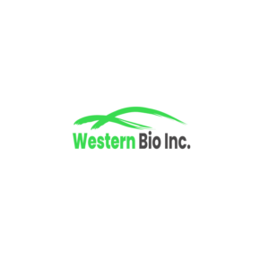 Logo Design by Maystro