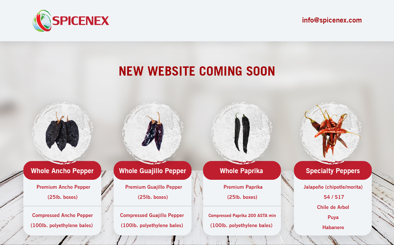 Web Design by weekidesigner for Spicenex | Design #18747371