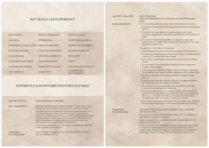 Resume Design by senja