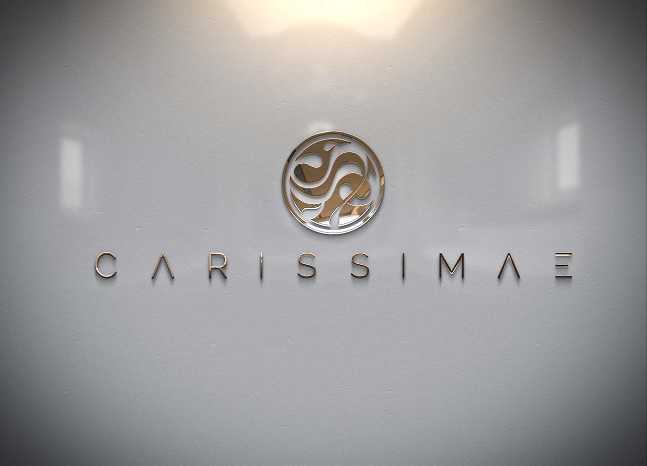 Logo-Design von vlad.buzz für dieses Projekt | Design #18842953