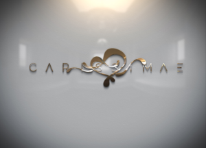 Logo Design by vlad.buzz for this project | Design: #18902424