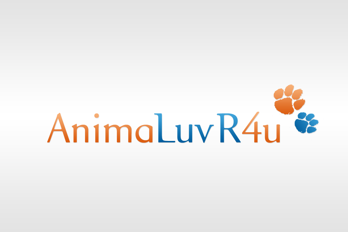Design de Logo par JR designs pour ce projet | Design #667291