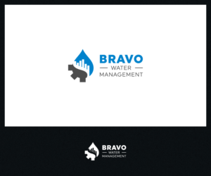Bravo Water Management  | Logo Design by Roy