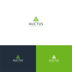 Auctus Advisory Group | Logo Design by Meraki*