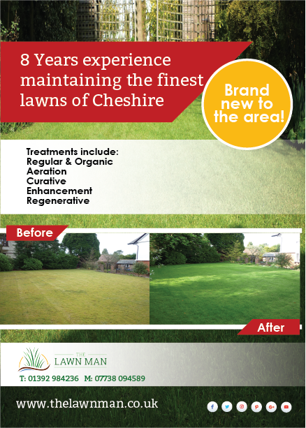 Flyer Design by Lou Sharp for The Lawn Man | Design #18767956