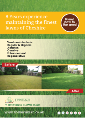 Diseño de Flyer por Lou Sharp para The Lawn Man | Diseño: #18768259