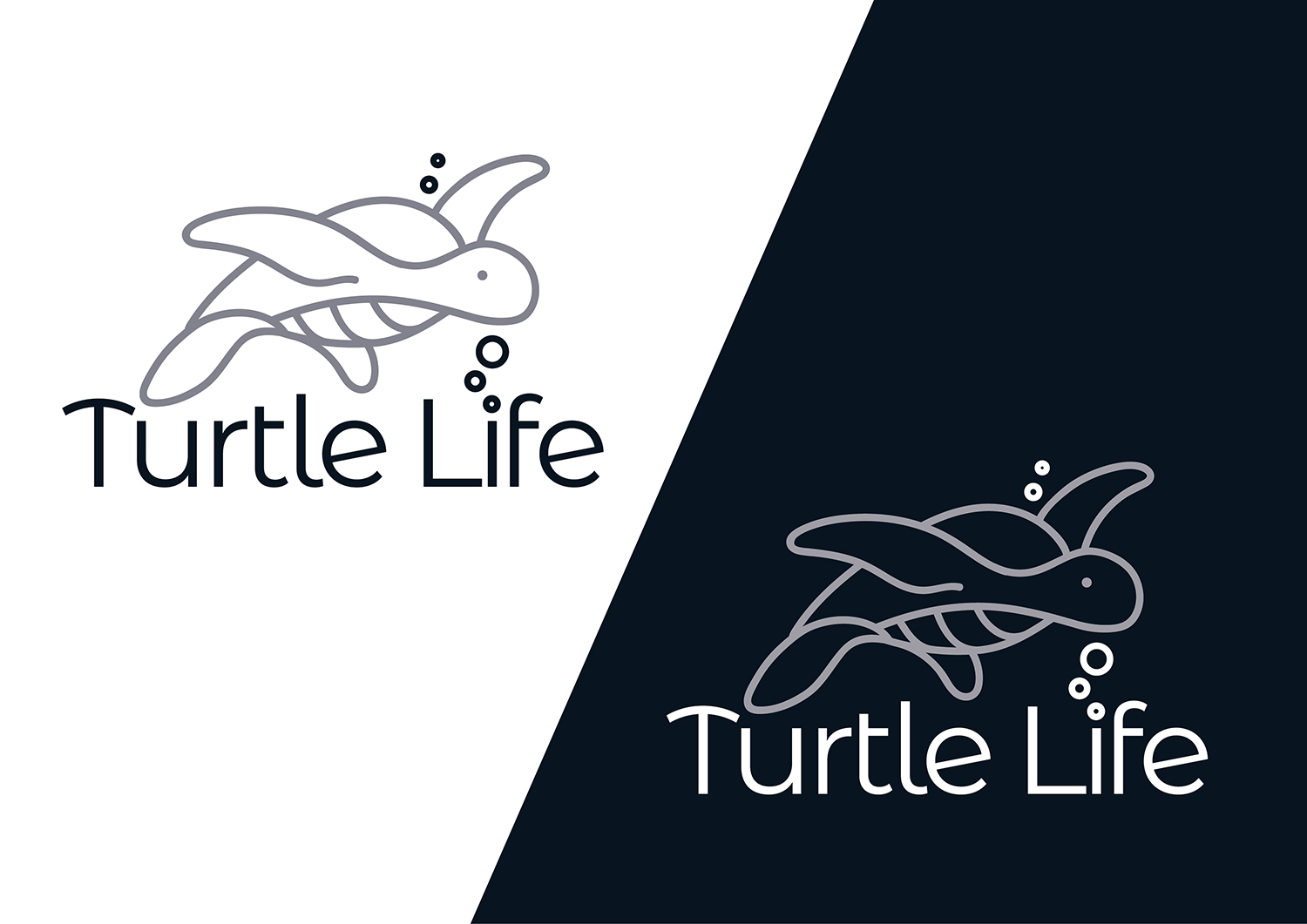 Logo Design by Channel Studio for this project | Design #18843896