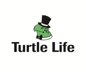 Logo Design by Taiki Design