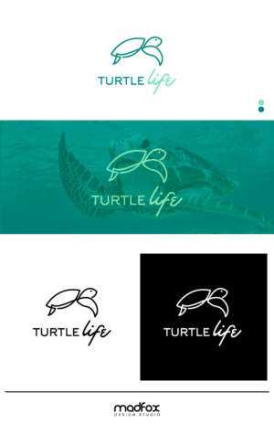Turtle Life | Logo Design by WILD FOX Desing Studio