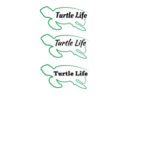 Logo Design by 4dley