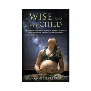 Pregnancy Wellbeing Coach seeks Book Cover Design | Giseño de Portada de eBook por Wally_F