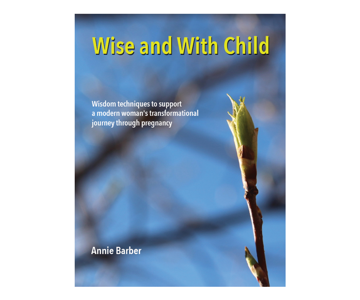 eBook Cover Design by Joujou for Wise & With Child | Design #18800126