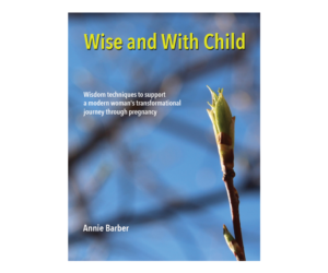 Giseño de Portada de eBook por Joujou para Wise & With Child | Diseño: #18800126