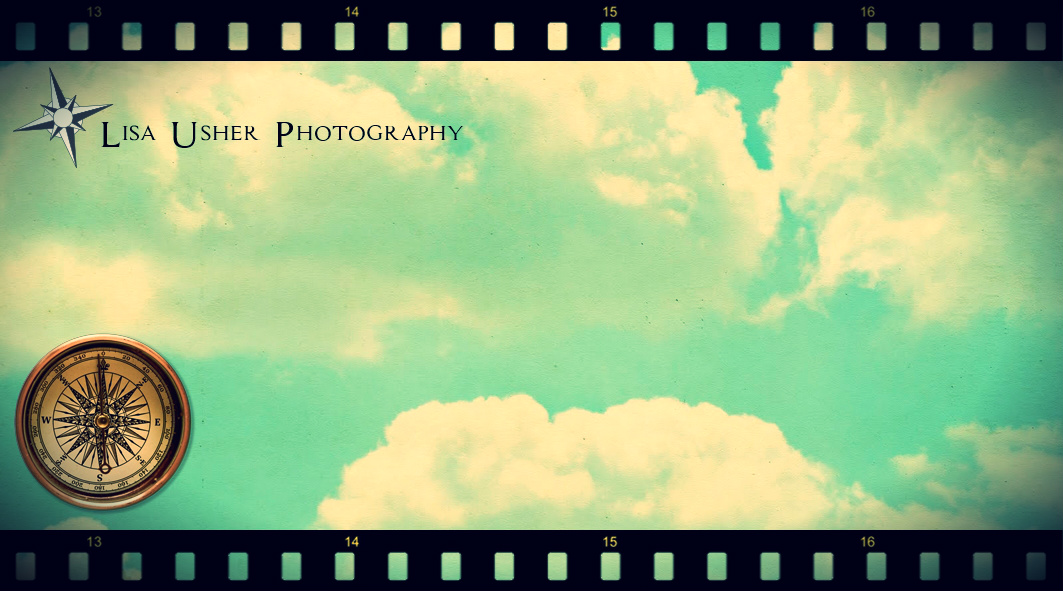 Design de Logo et Carte de Visite par SeXtreme pour Lisa Usher Photography | Design #2968006