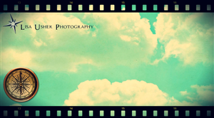 Design de Logo et Carte de Visite par SeXtreme pour Lisa Usher Photography | Design : #2968006