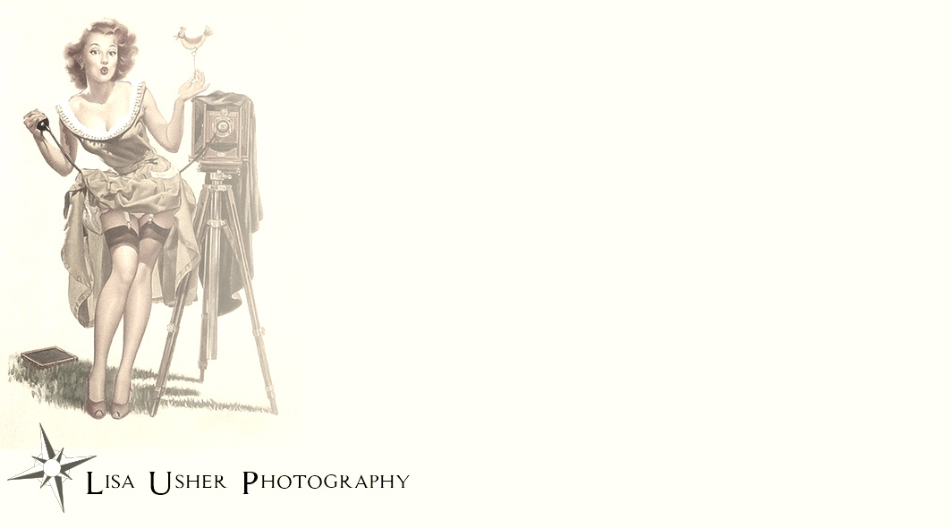 Logo and Business Card Design by SeXtreme for Lisa Usher Photography | Design #2968011