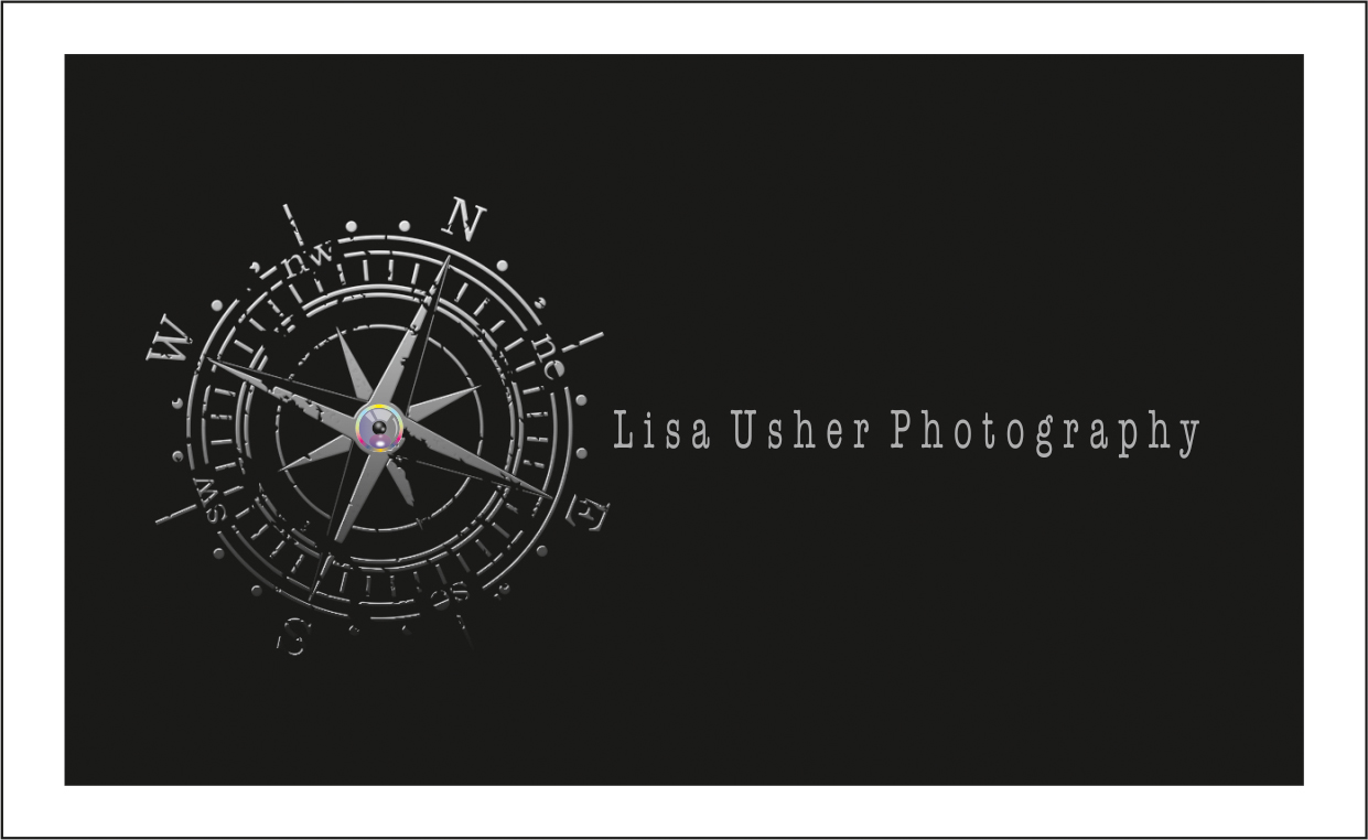 Design de Logo et Carte de Visite par dkthedon pour Lisa Usher Photography | Design #3247385