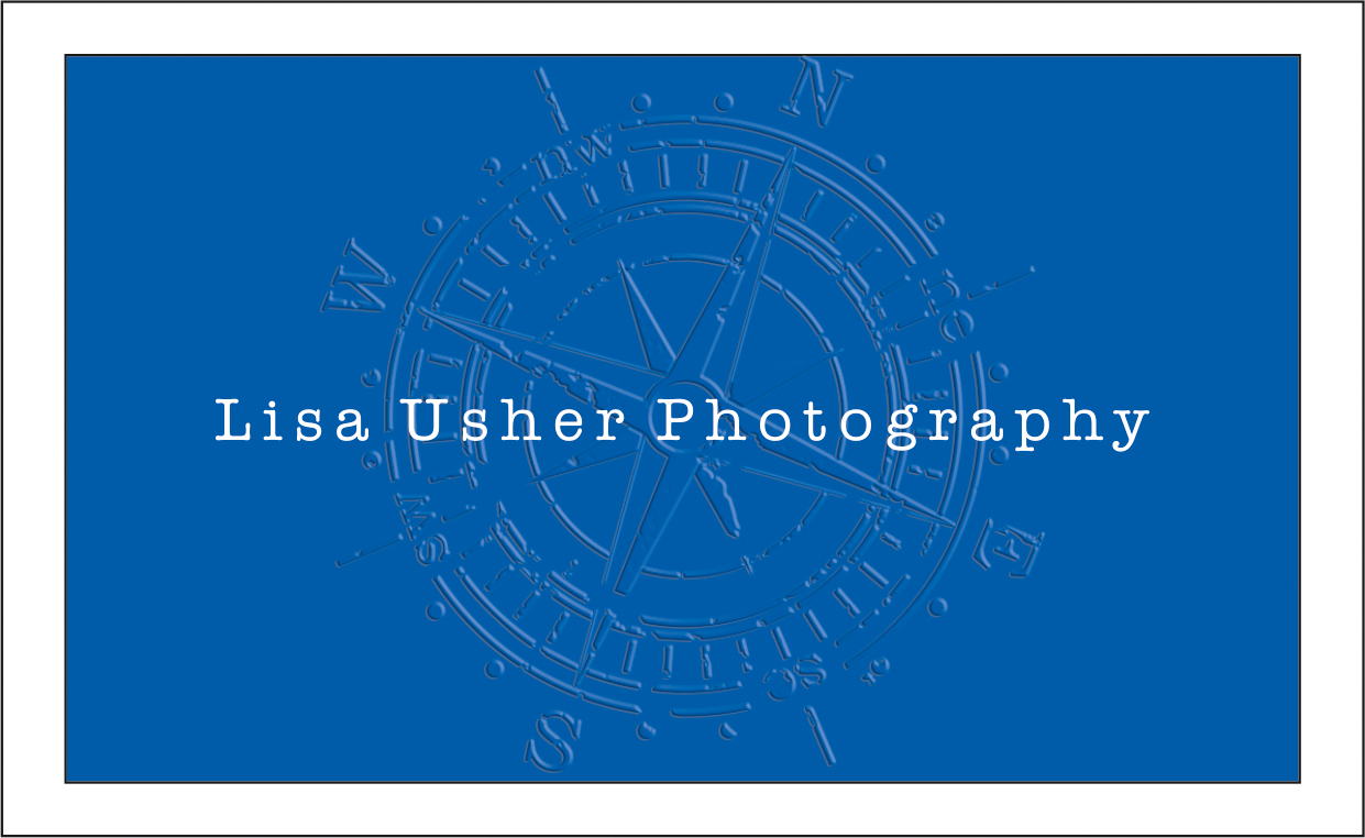 Design de Logo et Carte de Visite par dkthedon pour Lisa Usher Photography | Design #3247431