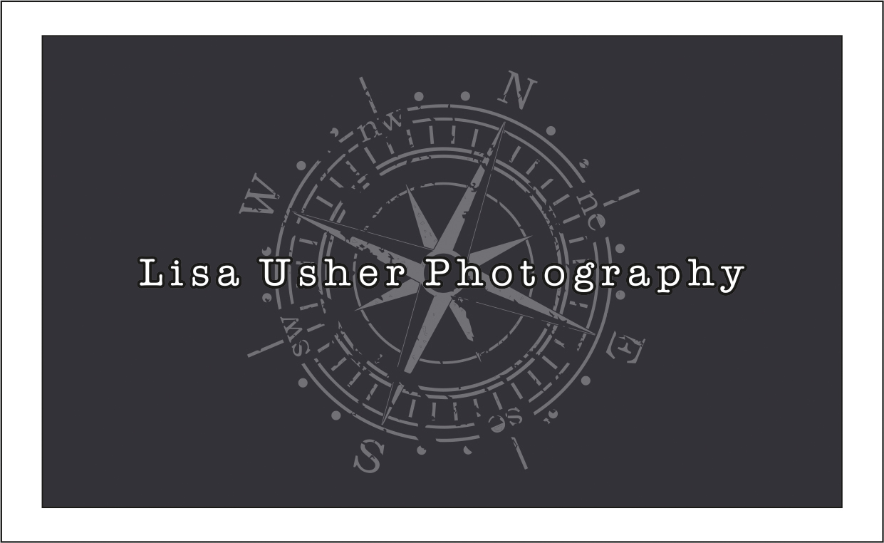 Design de Logo et Carte de Visite par dkthedon pour Lisa Usher Photography | Design #3247439
