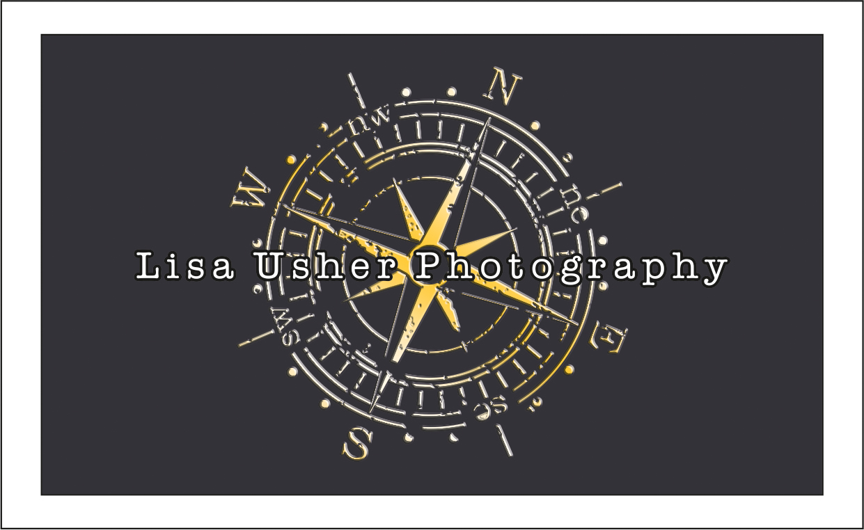 Design de Logo et Carte de Visite par dkthedon pour Lisa Usher Photography | Design #3247444