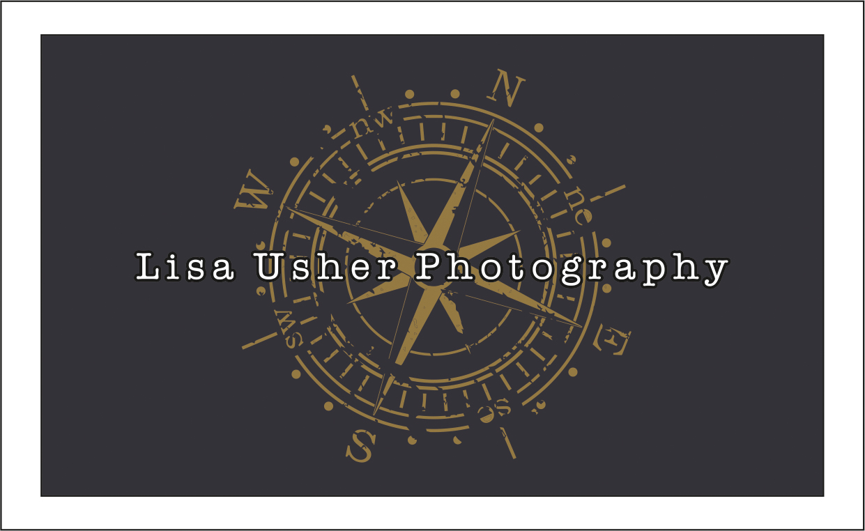 Design de Logo et Carte de Visite par dkthedon pour Lisa Usher Photography | Design #3247446
