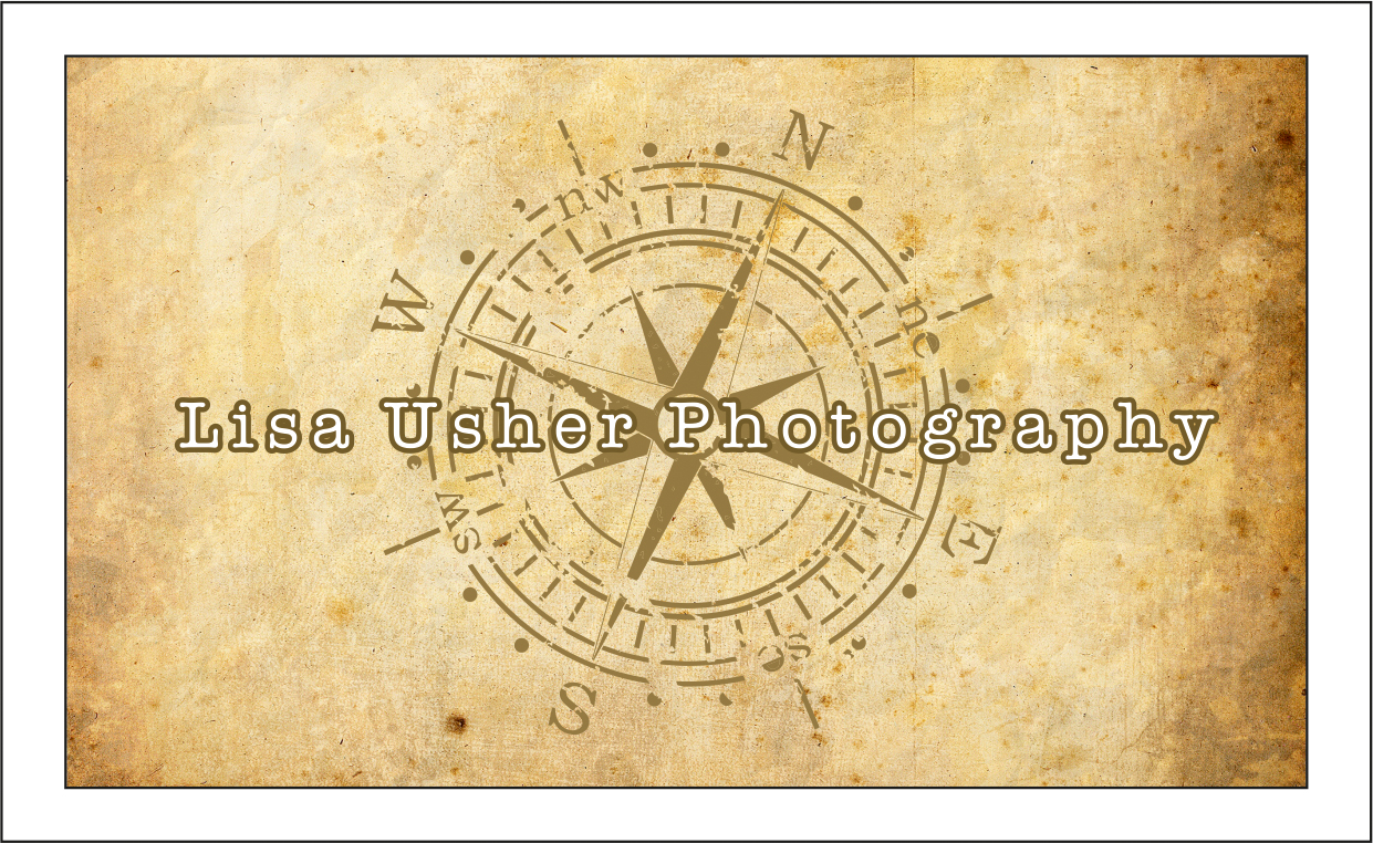 Design de Logo et Carte de Visite par dkthedon pour Lisa Usher Photography | Design #3247452