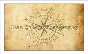 Logo and Business Card Design by dkthedon for Lisa Usher Photography | Design: #3247452