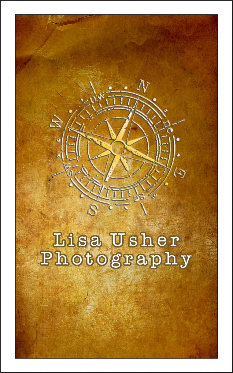 Design de Logo et Carte de Visite par dkthedon pour Lisa Usher Photography | Design #3247468