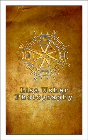 Logo and Business Card Design by dkthedon for Lisa Usher Photography | Design: #3247468