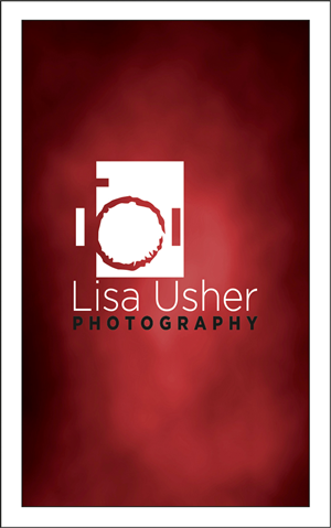 Design de Logo et Carte de Visite par dkthedon pour Lisa Usher Photography | Design : #3259043