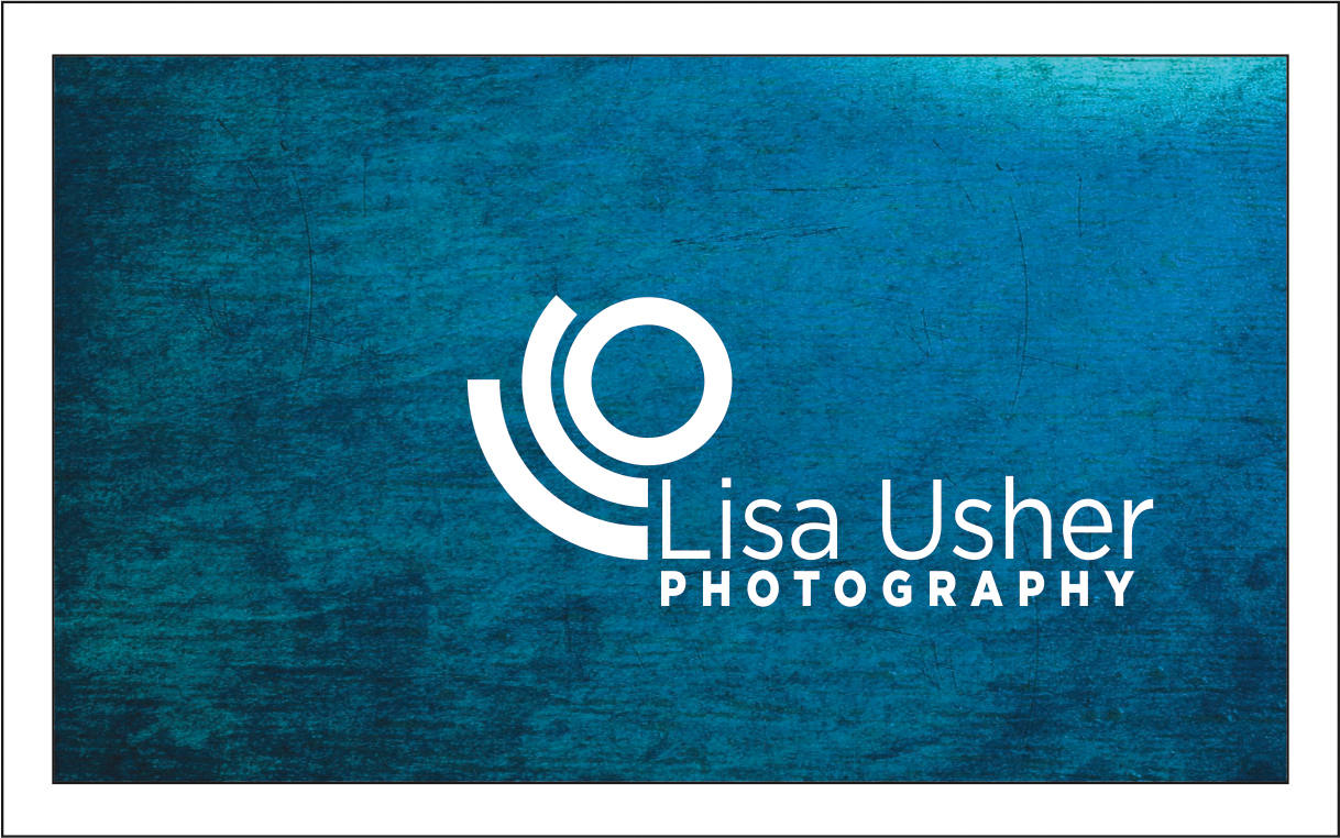 Design de Logo et Carte de Visite par dkthedon pour Lisa Usher Photography | Design #3259067