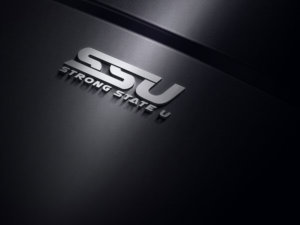 Design de Logo par Malkuchulu pour ce projet | Design : #18768014