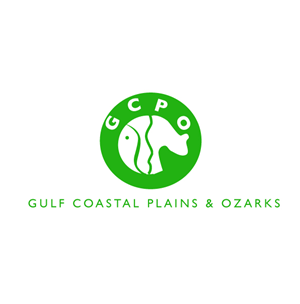 Diseño de Logo por Hiccups Design para este proyecto | Diseño: #677033