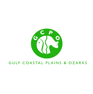 Diseño de Logo por Hiccups Design para este proyecto | Diseño: #677035