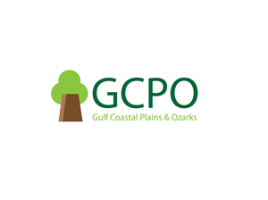 Logo Design by viniandra