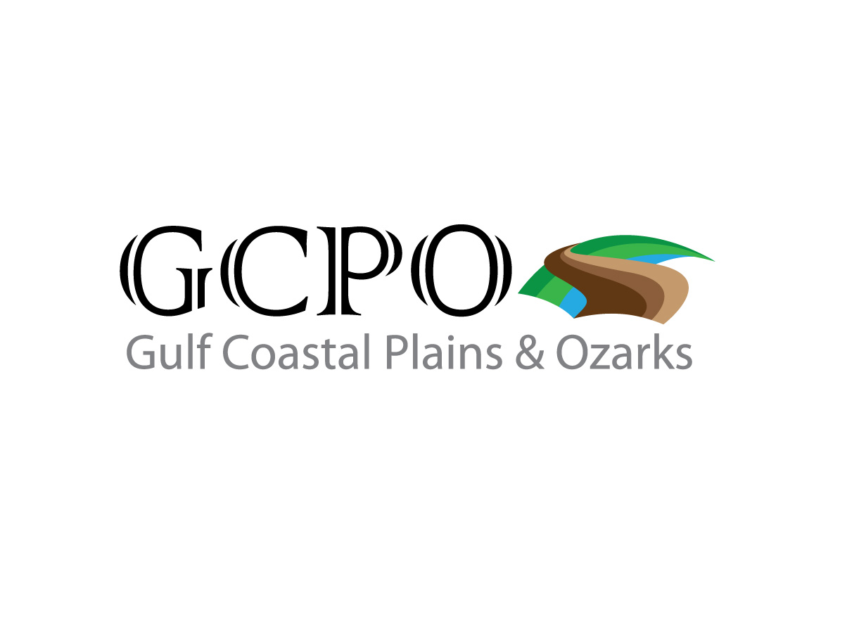 Diseño de Logo por viniandra para este proyecto | Diseño #676160