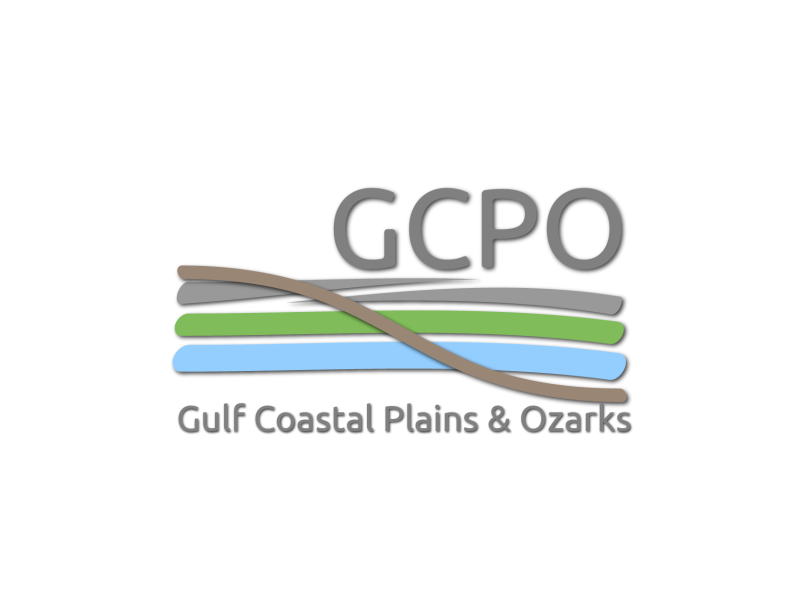 Diseño de Logo por dabu para este proyecto | Diseño #680669