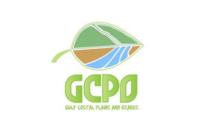 Diseño de Logo por maivand khan para este proyecto | Diseño: #683826