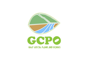 Logo Design by maivand khan for this project | Design #683829