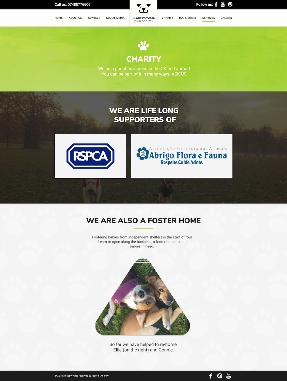 Web Design by Leporis Solutions for this project | Design #18875573