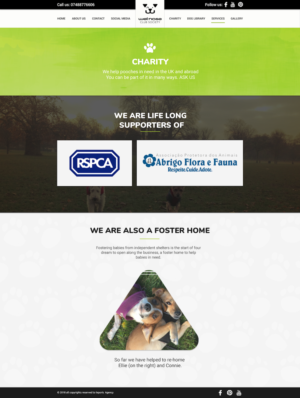 Web Design by Leporis Solutions