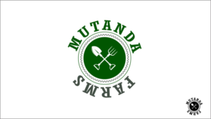 Logo Design by Star Designer