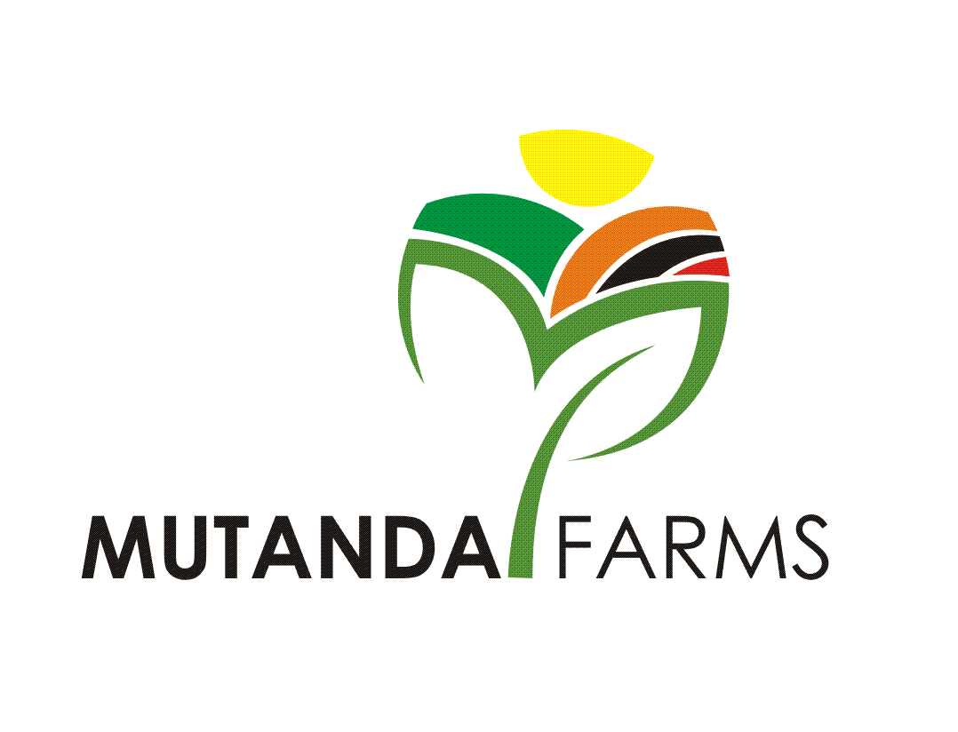 Logo-Design von Hasyim Asngari für dieses Projekt | Design #18780714