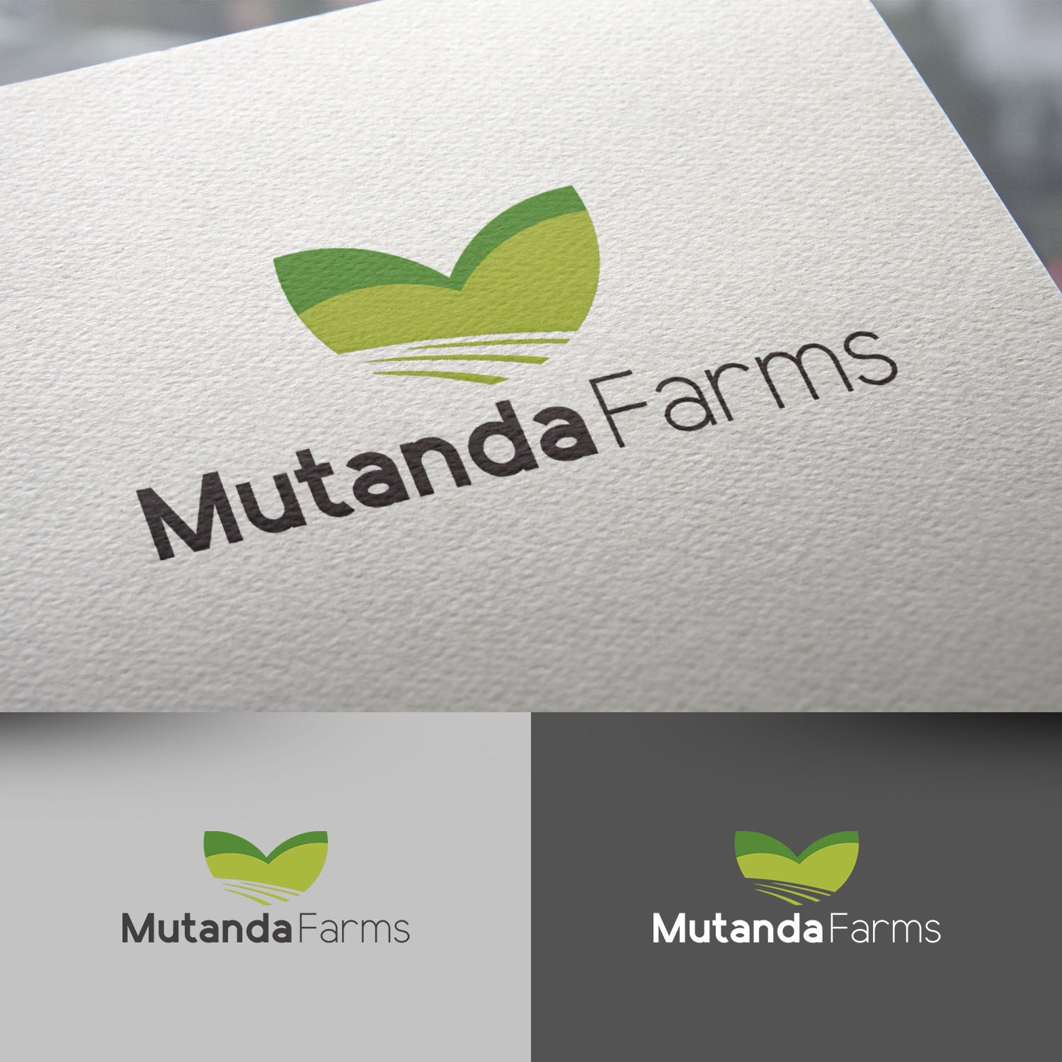 Logo Design by rafaeldsgn for this project | Design #18792522